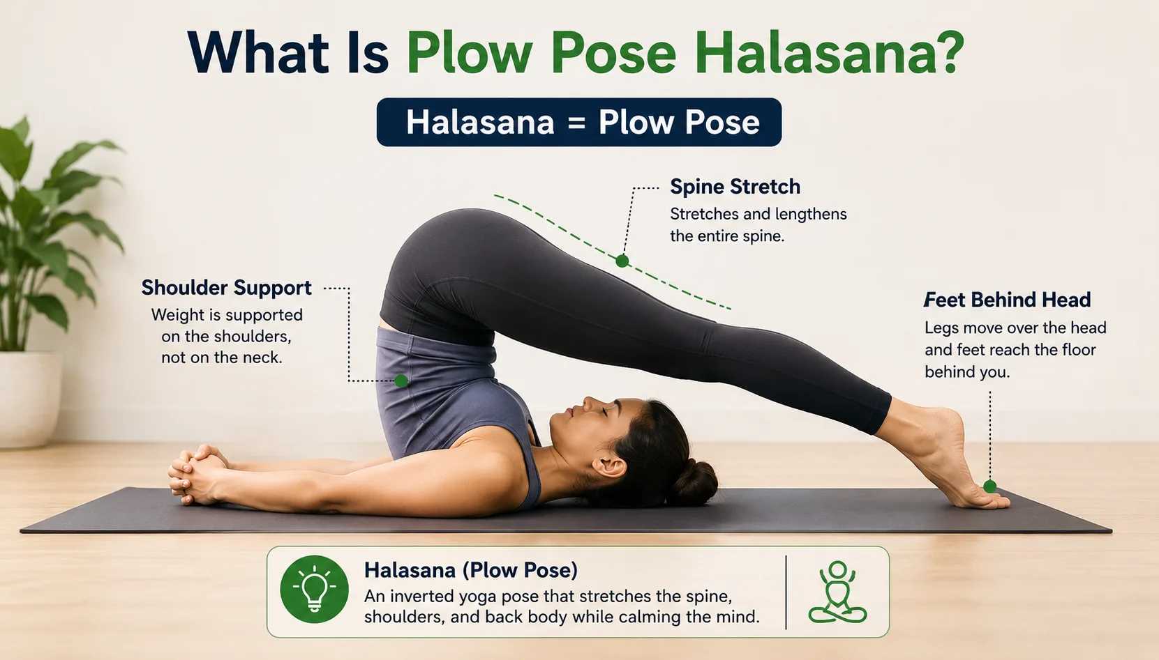 Plow Pose Halasana Step by Step Guide: 8 Safe Tips